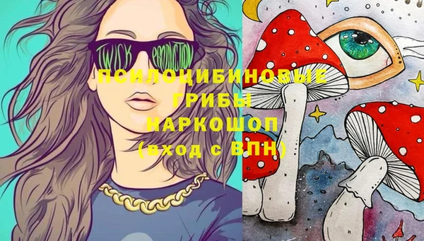 ешки Елизово
