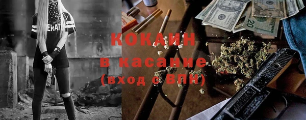 дурь Ельня