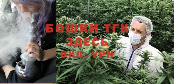 ешки Елизово