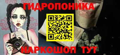 индика Гусиноозёрск