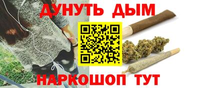 индика Гусиноозёрск