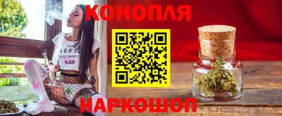 гидра Заводоуковск