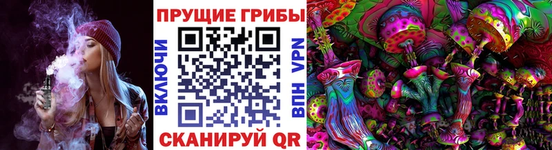 Псилоцибиновые грибы мицелий  Сибай 