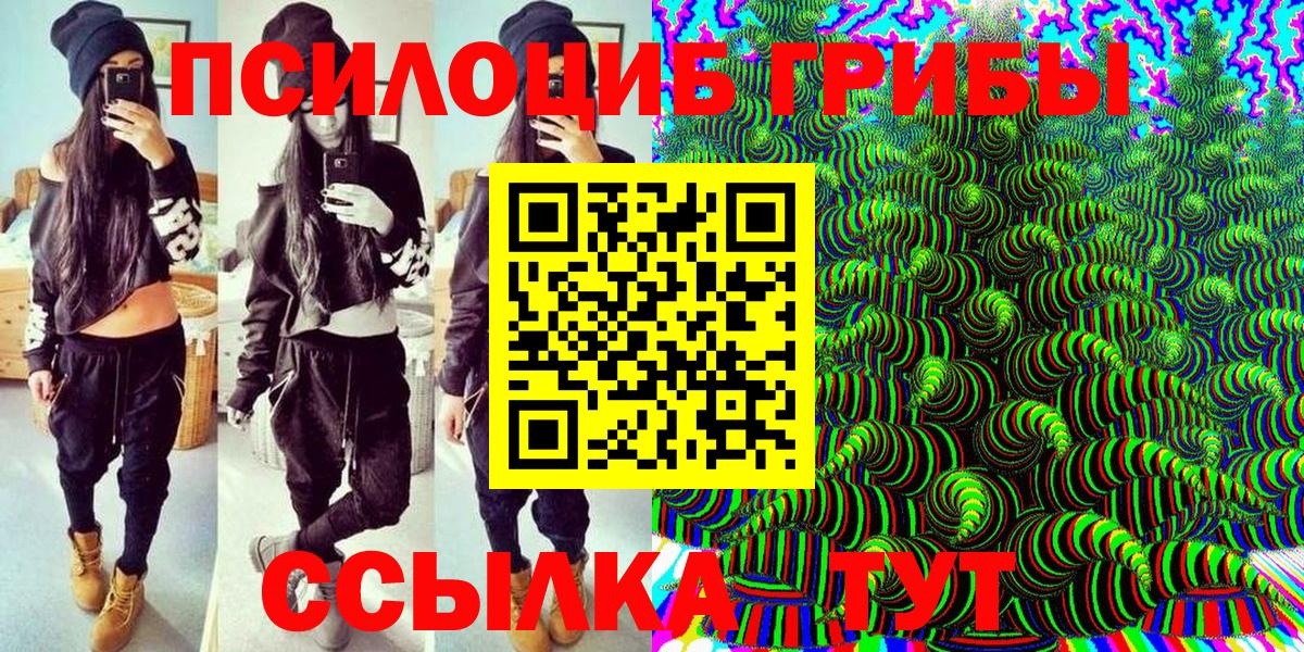 Псилоцибиновые грибы GOLDEN TEACHER  Сибай  Псилоцибиновые грибы Psilocybe 