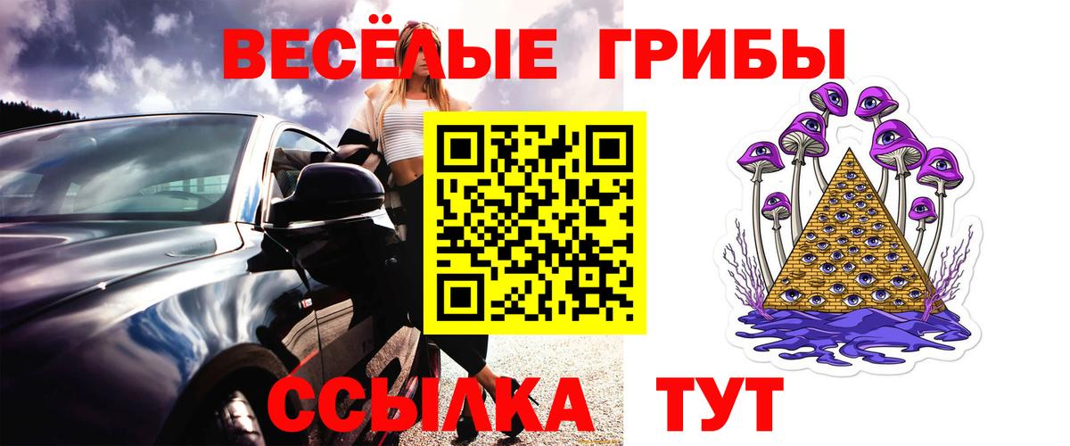 Галлюциногенные грибы GOLDEN TEACHER Сибай