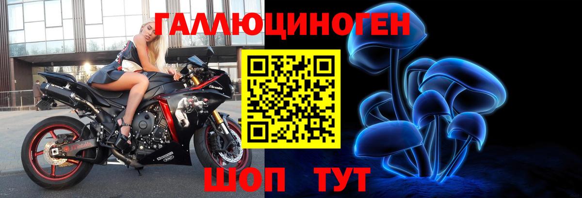 Галлюциногенные грибы Psilocybe  Вход с VPN  Сибай 